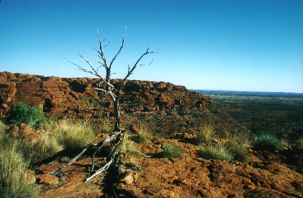 Kings Canyon