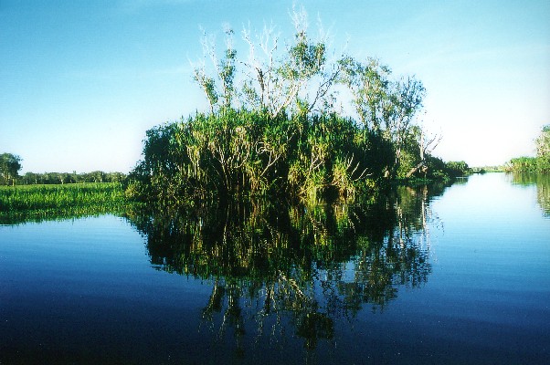 South Aligator River